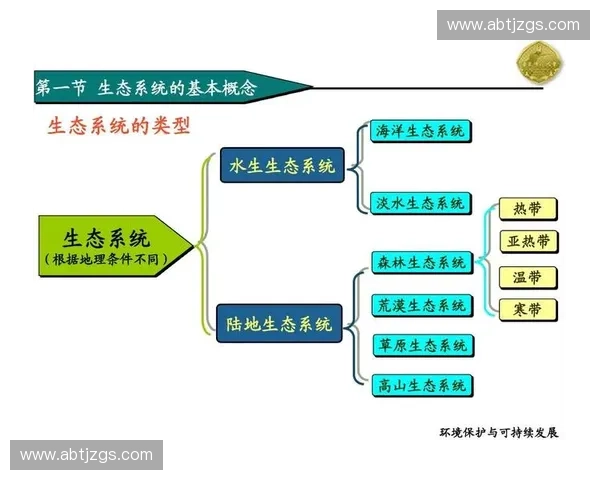 体育生态系统建设与可持续发展路径探索与实践研究